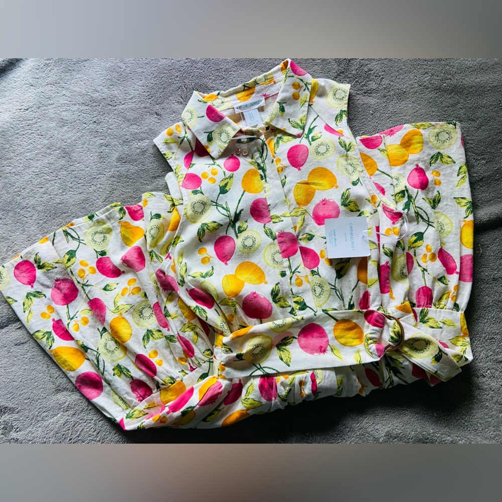 Vibrant Fruit Print Collared Dress